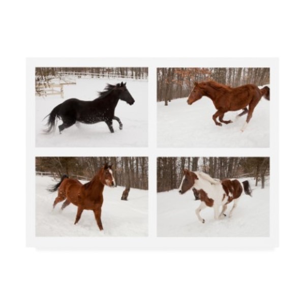 Trademark Fine Art Monte Nagler 'Four Horses In Winter' Canvas Art, 14x19 ALI44702-C1419GG